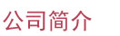 公司简介