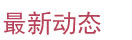 最新动态 